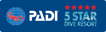 5-Star PADI Dive Resort