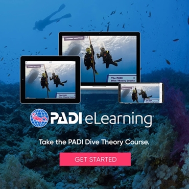 Sette motivi per iscriversi ad un corso PADI subacqueo online